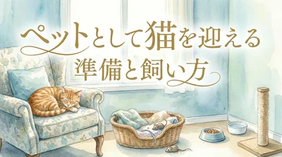 ペットとして猫を迎える準備と飼い方